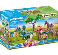 Playmobil Picnic Outing with Horses