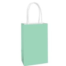 Kraft Gift Bag Medium - Pastel Mint