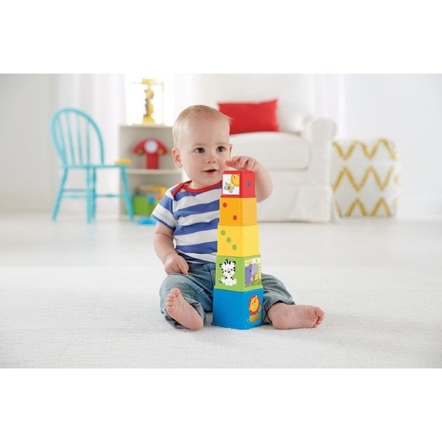 Fisher Price Stack & Explore Blocks