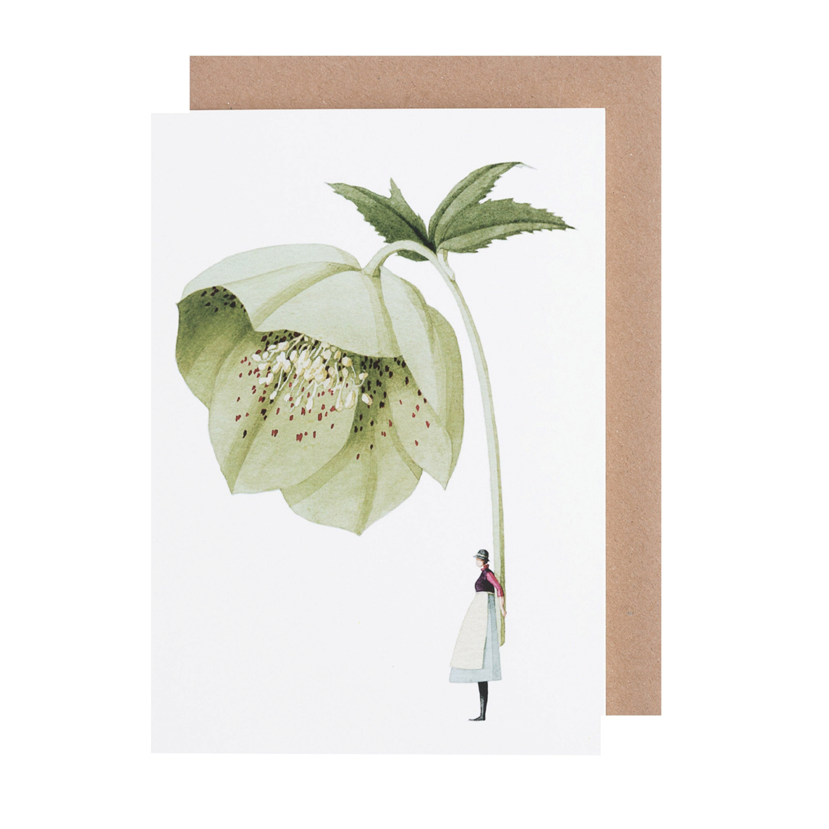 Laura Stoddart Greeting Card Hellebore