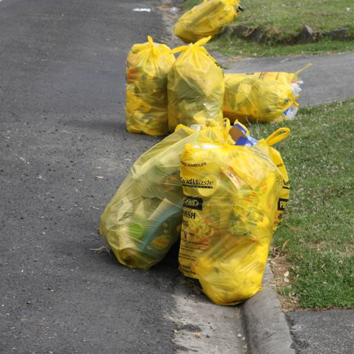 Northland Waste Single Rubbish Bag - Yellow